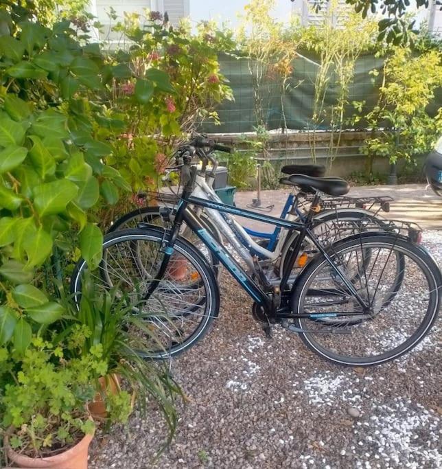 Just Outside The Wall: Free A/C, Bikes And Wifi Lucca Esterno foto